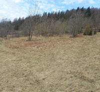 Sale Recreational land, Recreational land, Zádedová, Čadca, Slovakia
