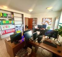 Offices with organized binders, monitors, and plants on a floor with wooden decor.