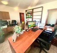 Offices with wooden furniture and a plant, ideal for work.