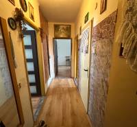 A hallway in a 3-room apartment with a wooden decor floor, decorated walls.