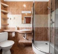 Bathroom with toilet, shower, and sink in a family house.