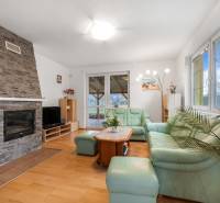 Living room with a fireplace and a green sofa, floor with wood decor, family house.