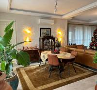 Living room in a family house with a Christmas tree and a stylized table.