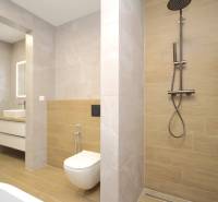 A bathroom in a family house with a wooden decor floor and a shower corner.