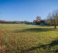 Land - living in Veľká Lomnica, lawn surrounded by trees and a fence.