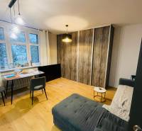 Living room in a two-room apartment with a wooden decor floor and a comfortable sofa.