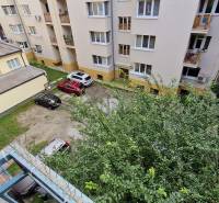 A view of the courtyard of apartment buildings with a parking lot and greenery on Grosslingova Street.