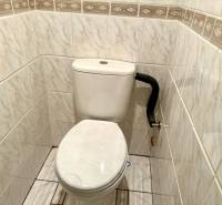 Ceramic tiles with a pattern and a toilet in a family house.