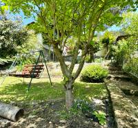 The garden of a family house in Vrbovce, a wooden swing, a tree, stone steps, and greenery.
