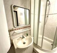 Bathroom in a family house with a sink, mirror, and shower enclosure.