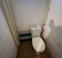 A bathroom with a toilet in a family house, includes a window, tiles, and toiletries.