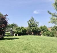 A garden in Most pri Bratislave with greenery and trees, suitable for relaxation.