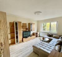 Living room of a two-room apartment with a wooden decor floor and an elegant corner sofa.
