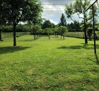 Greenery on a residential plot on Jesenovce Street in the town of Jasenovce with fruit trees.
