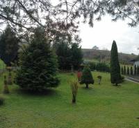 A garden with coniferous trees in Jasenovce on Jesenovce Street, suitable for residential plots.