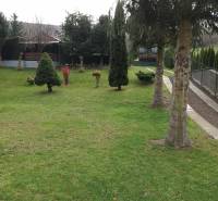Plots - housing in Jasenovce on Jesenovce Street, green lawn with conifers.