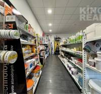 The commercial premises are filled with shelves of building materials and paints.