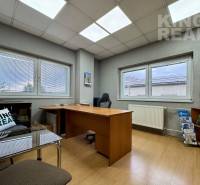 An office with a wood-patterned floor, office furniture, windows with an outside view.