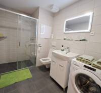 A studio apartment bathroom with a sink, shower, and washing machine, decorated with a green mat.