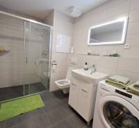 A studio apartment bathroom with an elegant shower, sink, toilet, and washing machine with green accessories.