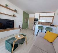 Living area of a studio apartment with a kitchenette, sofa, and television.