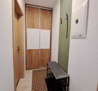 Studio apartment with a hallway, built-in wardrobe, and bench, floor with wood decor.