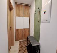 Interior of a studio apartment with wood-patterned flooring, cabinets, and wall hangers.