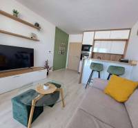 A studio apartment with wood-patterned flooring, a sofa, a bar counter, and wall shelves.