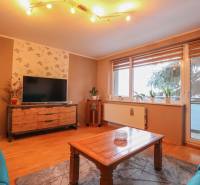Living room in a 3-room apartment with a comfortable sofa, television, and wooden decor flooring.