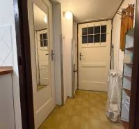 A narrow entrance area with a wooden decor floor in a studio apartment.