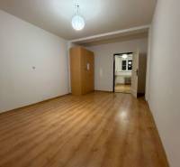 A room with a lamp, a wardrobe, and a wooden-decor floor in a studio apartment.