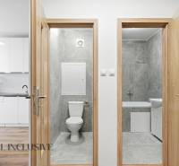 Bathroom and toilet in a 3-room apartment with a kitchen and a wooden decor floor.
