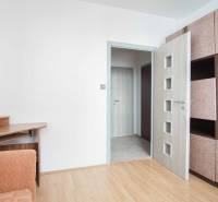 Interior with a sofa, wooden decor flooring, and a built-in wardrobe in a 3-room apartment.