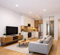 Living room with a kitchen, sofa, and wooden decor flooring in a studio apartment.