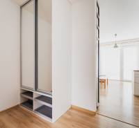A hallway with a mirrored wardrobe and a wooden decor floor in a 2-room apartment.
