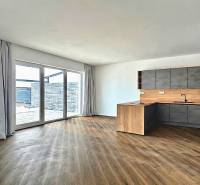 A kitchen in a family house with a wooden decor floor and large windows.