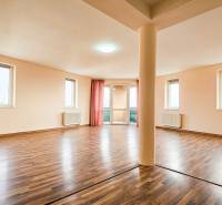 A spacious room with a wooden decor floor and four windows in a 2-room apartment.