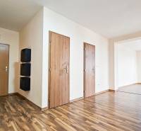 A hallway in a 2-room apartment with a wooden decor floor and three doors.