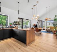 Kitchen and dining area in a family house with modern furniture and plants.