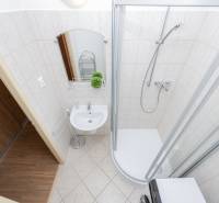 Bathroom in a 2-room apartment with tiles, a shower corner, and a small sink.