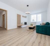 Living room in a two-room apartment with a wooden decor floor and a sofa.