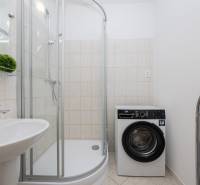 A bathroom with a washing machine and a shower in a 2-room apartment.