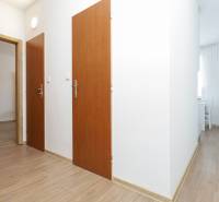 A hallway with a wood-patterned floor and brown doors in a 2-room apartment.