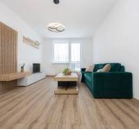 Living room in a two-room apartment with a sofa and a wooden-patterned floor.
