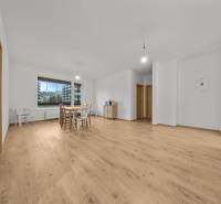 A bright living room in a three-room apartment with a wood-patterned floor and simple furniture.