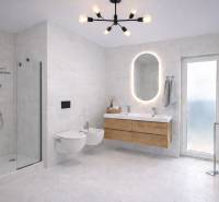 Elegant bathroom with a large mirror and a shower in a family house.