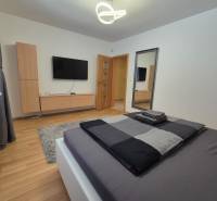 Bedroom with a TV, large mirror, wood-patterned floor, and modern lighting fixture.