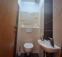 A small toilet in a family house with a sink, brown and beige tiles, door on the left.