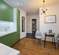A kitchen with a wood-patterned floor, green cabinets, and a dining area in a two-room apartment.