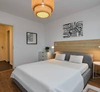 Bedroom in a 2-room apartment with wood-patterned flooring, simple furniture, and accessories.